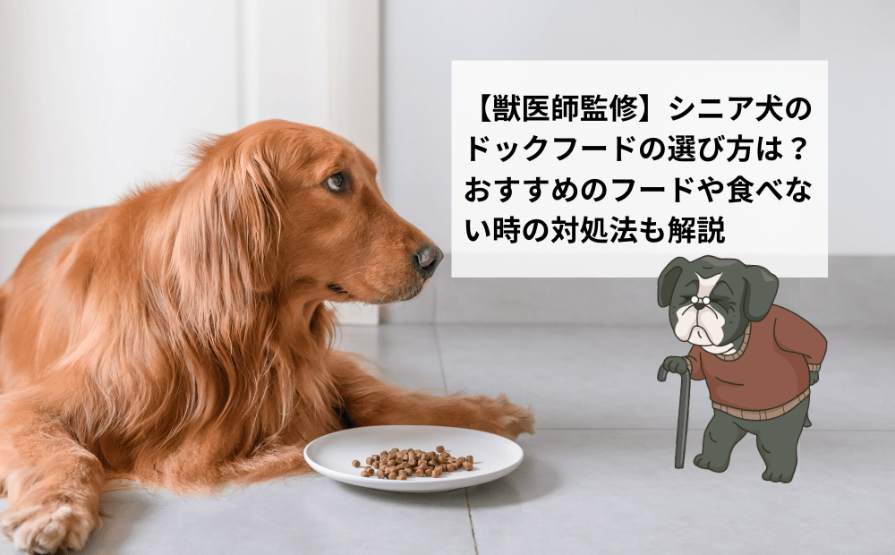 【獣医師監修】シニア犬のドックフードの選び方は？おすすめのフードや食べない時の対処法も解説