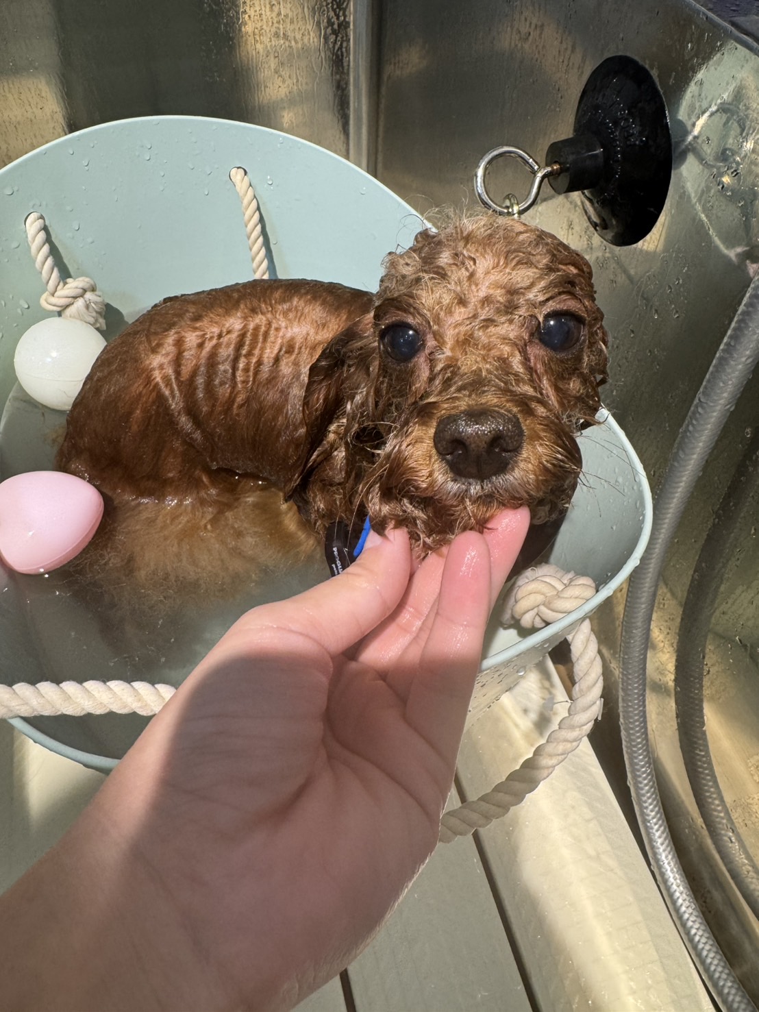 保湿メニューが新しく入りました🛁